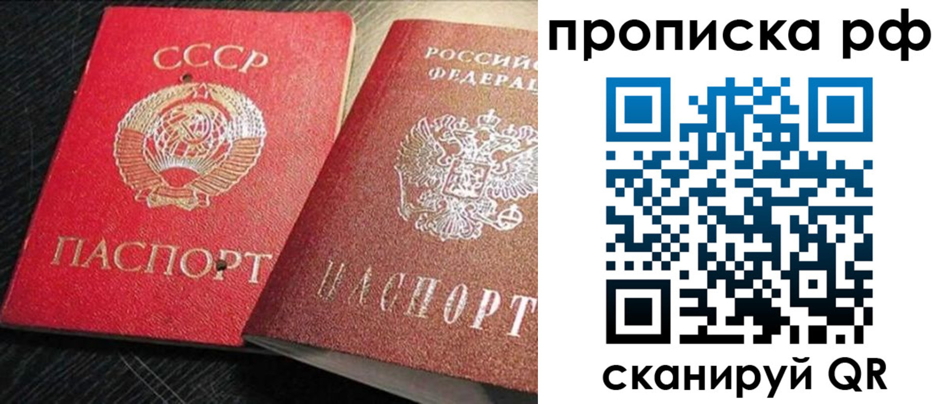 где прописаться в Шарье